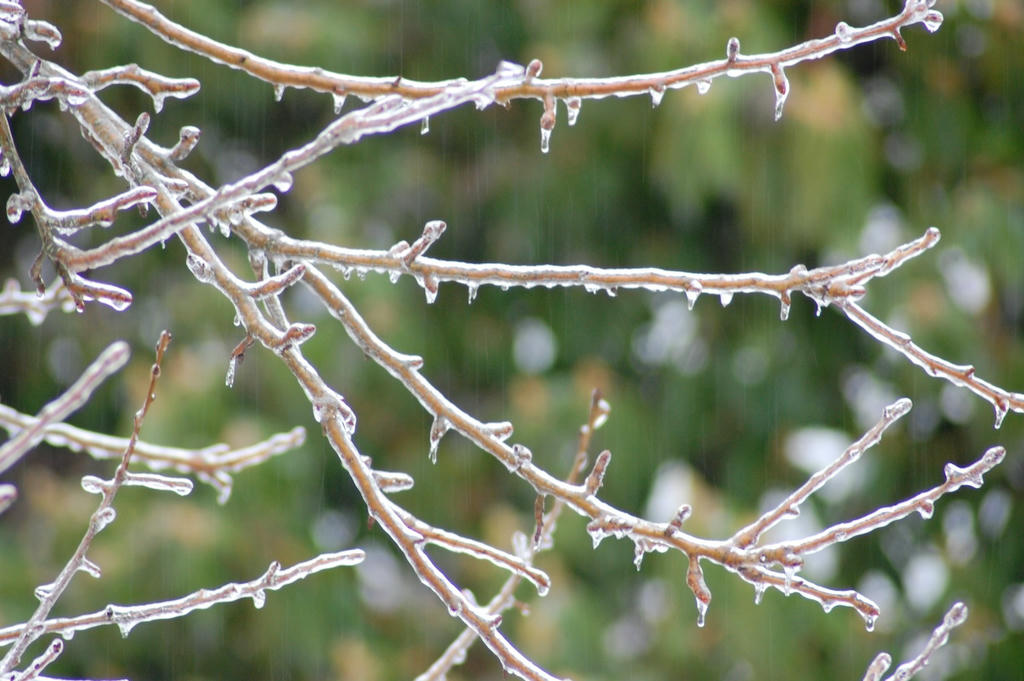 Cold rain
