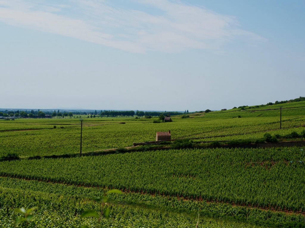 Beaune